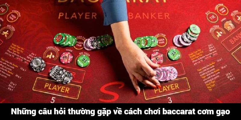 Những câu hỏi thường gặp về cách chơi baccarat cơm gạo